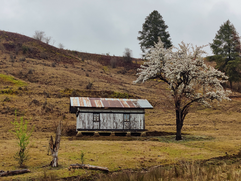 Mechuka Road Trip