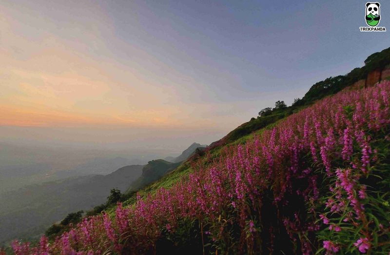 Kalsubai Trek