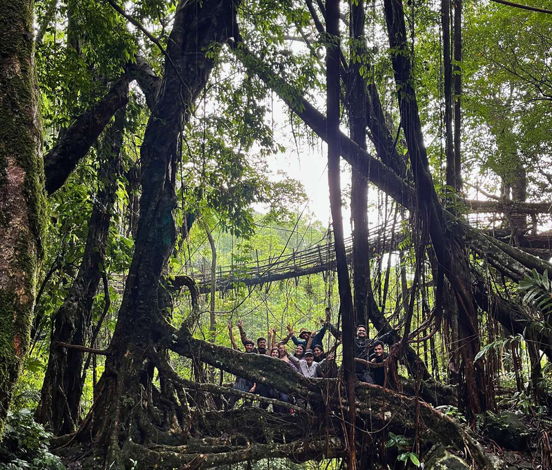 Trails of the Living Hills: Traversing Through a Drenched Meghalaya