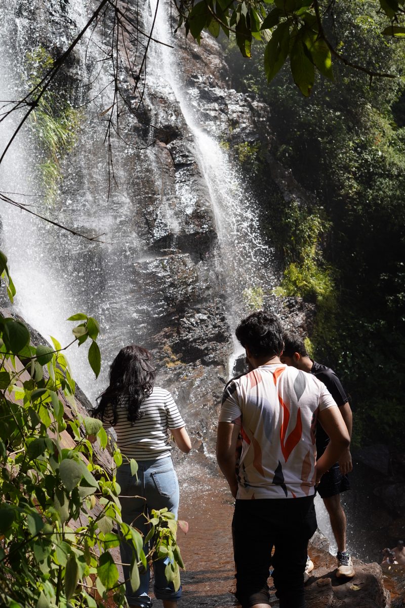 Chikmagalur & Sakleshpura Getaway