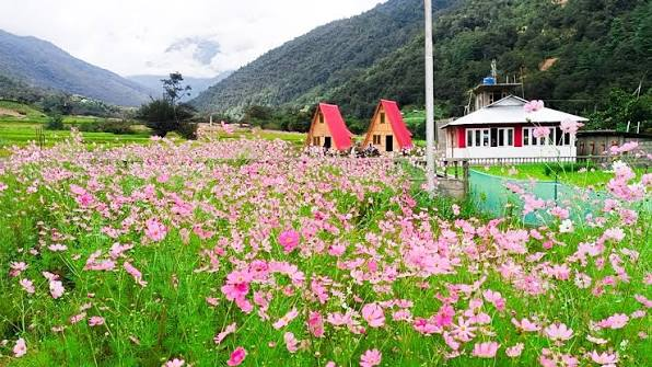 Tawang with Kaziranga