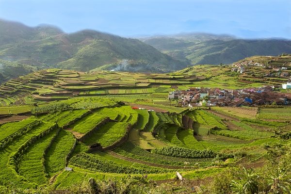 Ooty - Coonoor & Kotagiri Backpacking Trip