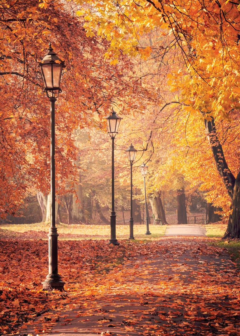 Korea Unsaid: Autumn Edition