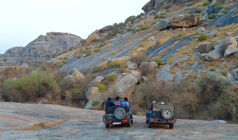 Udaipur with Jawai National Park