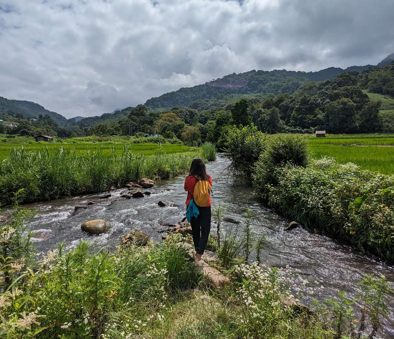 Of Terraces, Trails and Time: A Monsoon Chapter in the Angami Highlands