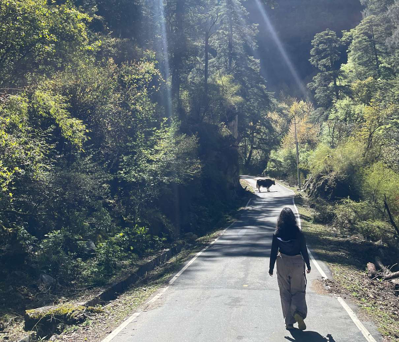 Of Harvest, Highlands and Hidden Valleys: An Autumn Chapter in Western Arunachal Pradesh