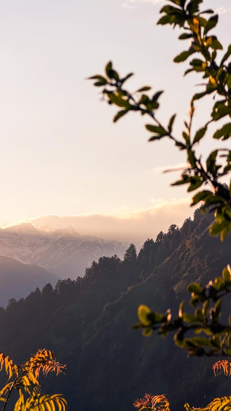 Offbeat Himachal - Autumn Edition