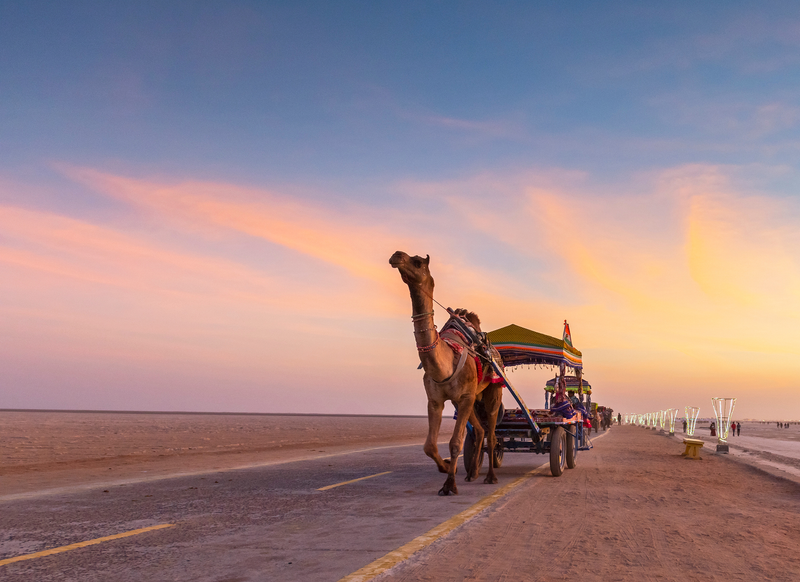 Rann of Kutch Adventure