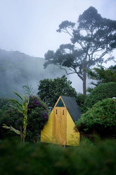 Munnar Backpacking Trip: 1N2D Weekend Getaway